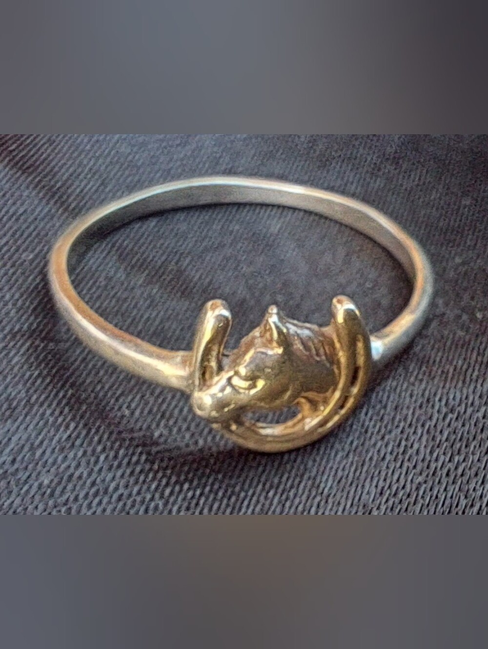 Sterling Silver Ring Size 7 Lucky Horseshoe With Horse